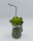 Succulent in Milk Bottle - Success Gifts