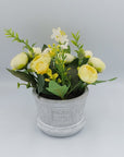 Peony Plant in Pot