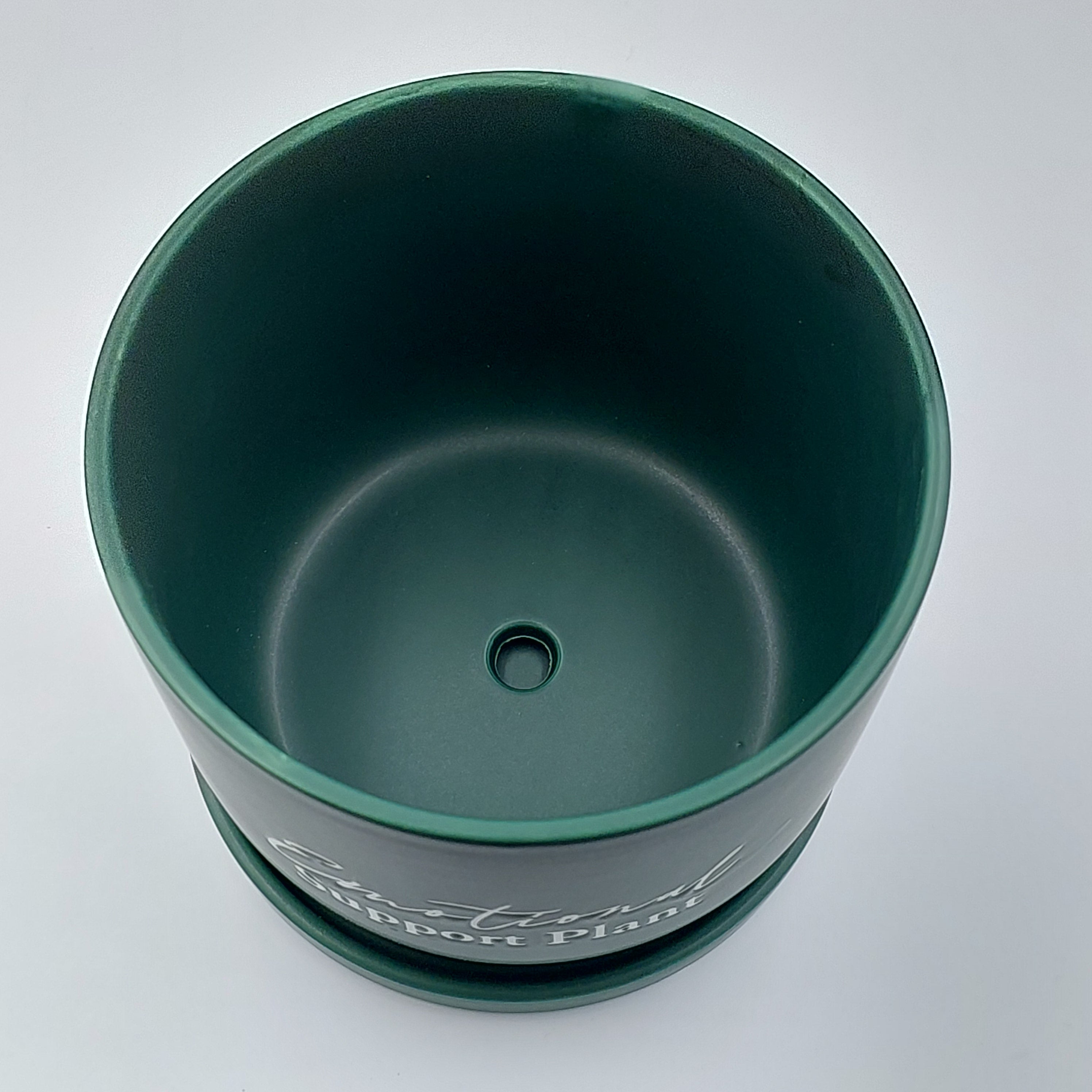 Emotional Support planter with tray - Success Gifts