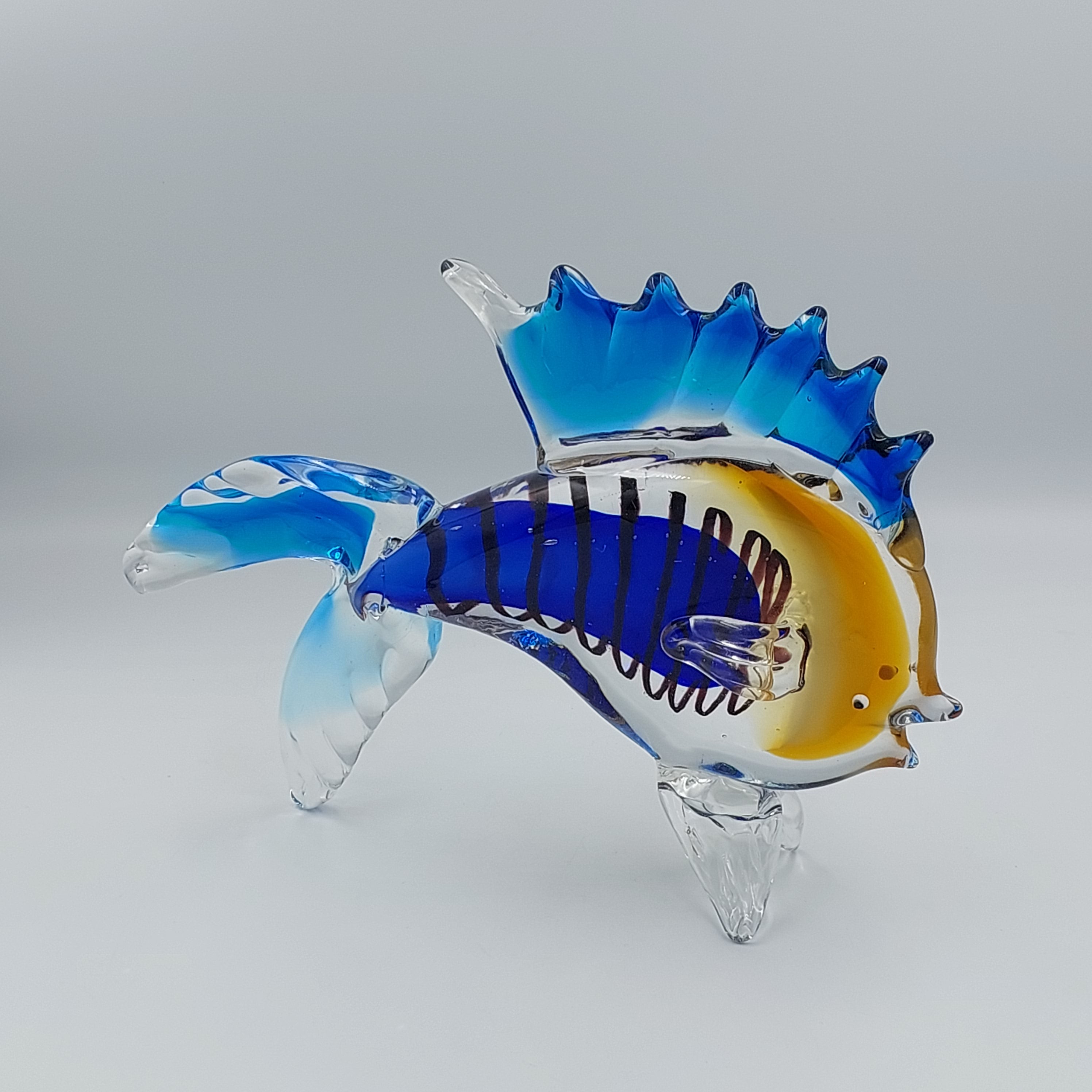 Tropical Fish