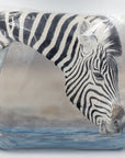 Zebra Square Cushion