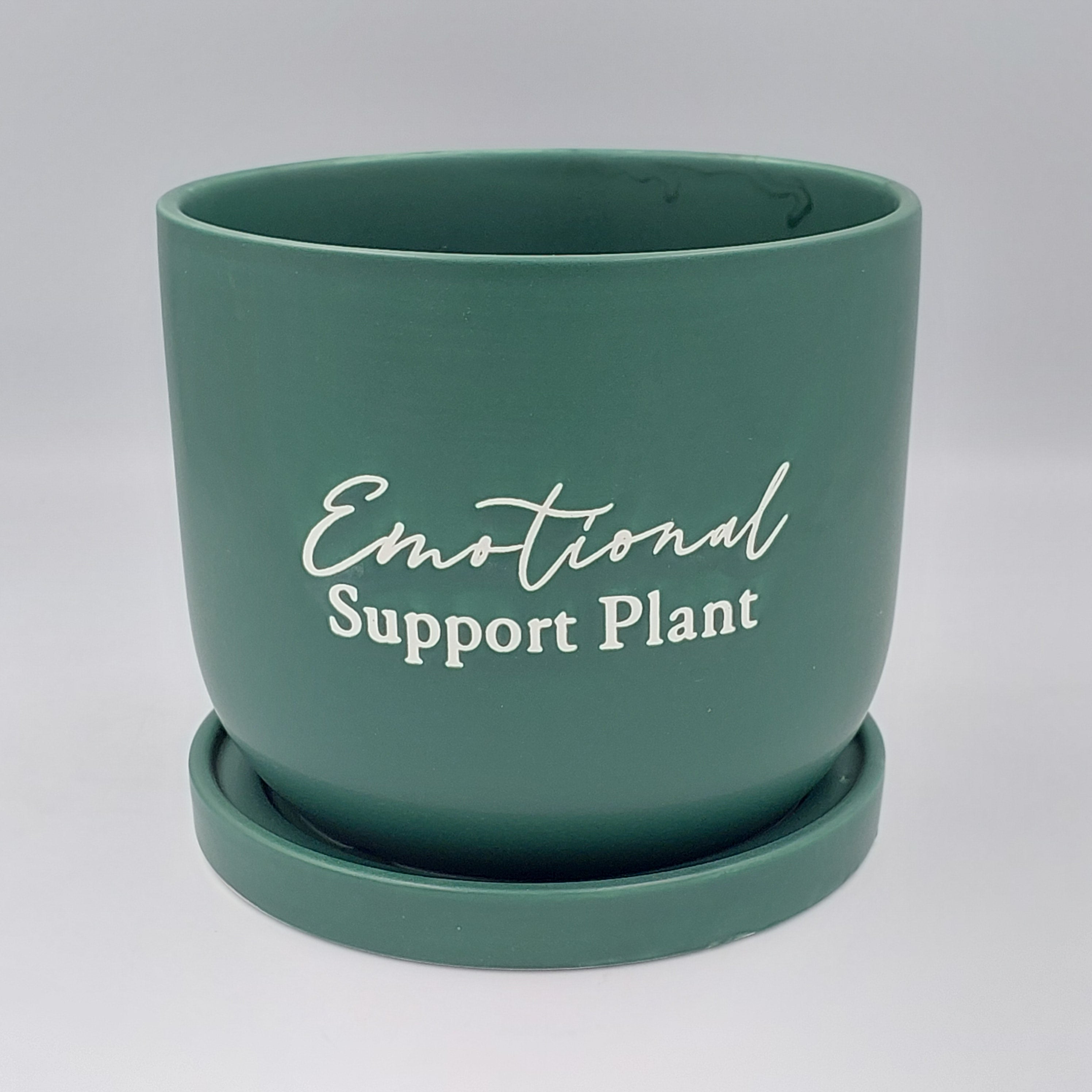 Emotional Support planter with tray - Success Gifts