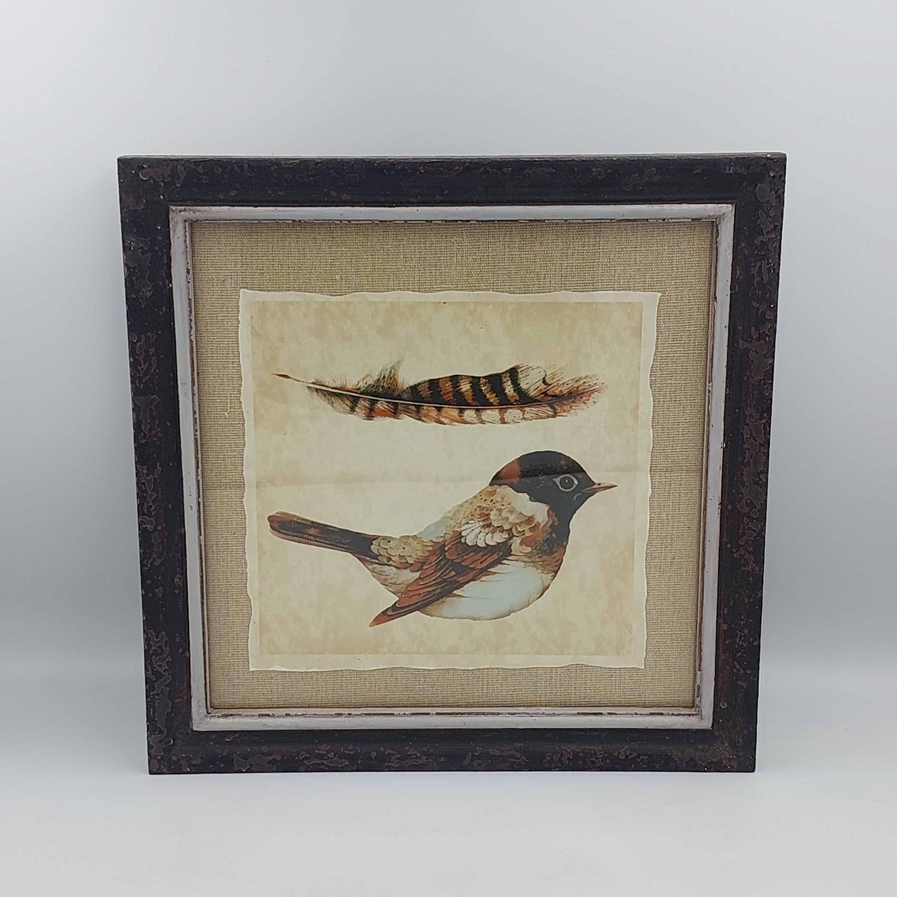 Wallart Bird & Feather - Success Gifts