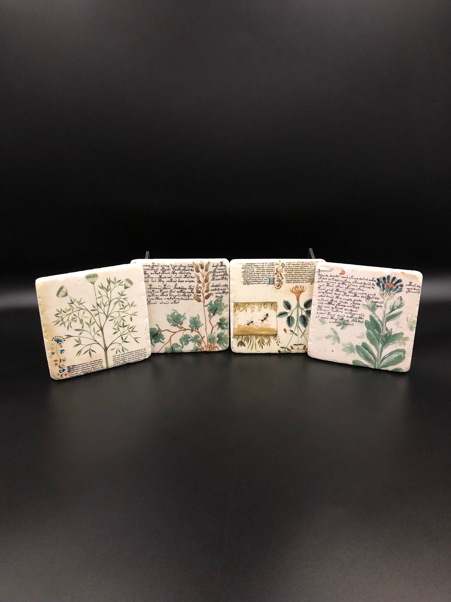 Coasters - Botany | Success Gifts | Online Store & Mountain Gate VIC
